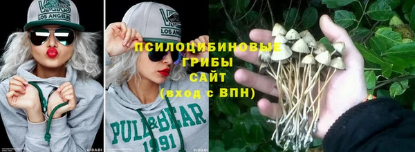 apvp Медногорск