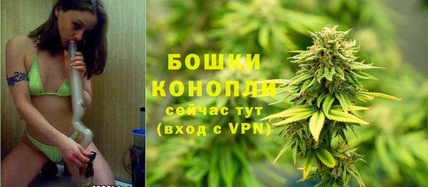 дживик Михайловск