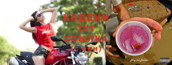 дживик Михайловск