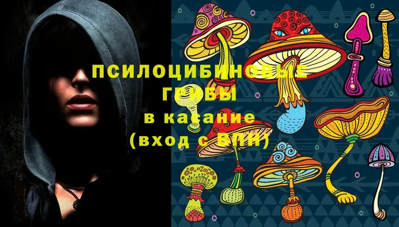 Галлюциногенные грибы MAGIC MUSHROOMS  omg вход  Энем 